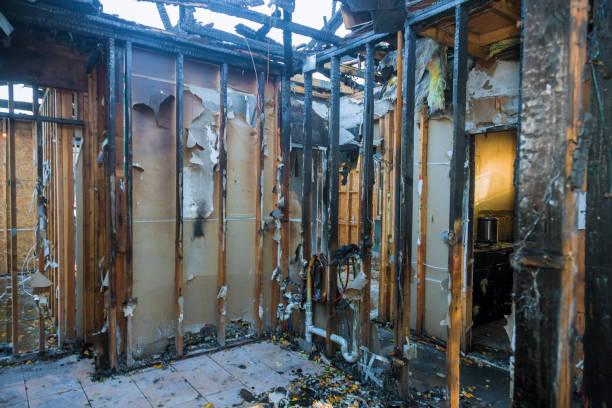 Professional Fire Damage Removal technician working in Lone Jack, MO